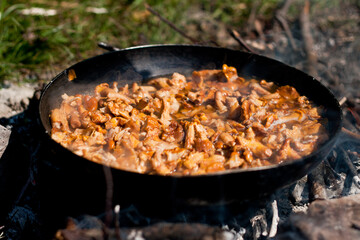 Sizzling Chanterelles Campfire
