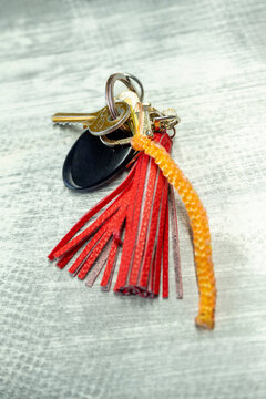 trousseau de clefs oubli&eacute; avec portes clefs et scoubidou