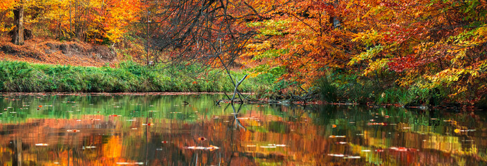 Beautiful autumn forest with yellow-red colors next to the lake, reflected in the water