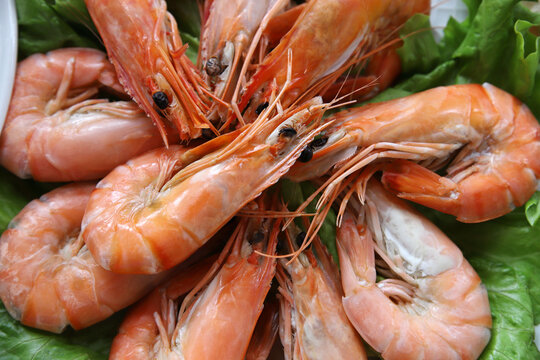 plato con  langostinos cocidos sobre base de lechuga