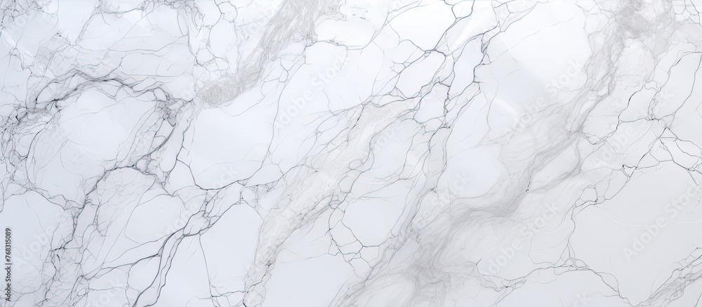 Poster white marble featuring a distinct and prominent black vein running through its surface, creating a s