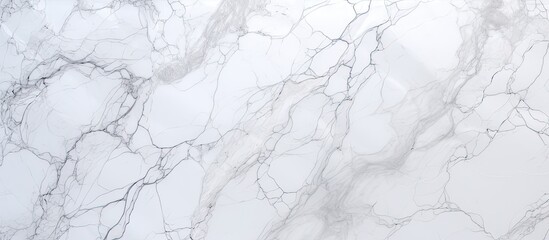 White marble featuring a distinct and prominent black vein running through its surface, creating a...
