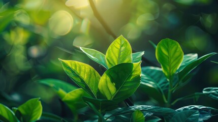 Nature of green leaf in garden at summer. Natural green leaves plants using as spring background cover page greenery environment ecology wallpaper  - generative ai