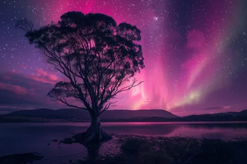 Zelfklevend Fotobehang A Single Epic Tree under Aurora Borealis Background created with Generative AI Technology © Generative Plants