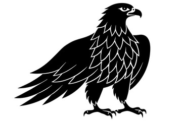 eagle silhouette vector illustration