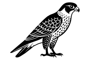falcon silhouette vector illustration