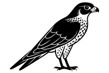 falcon silhouette vector illustration