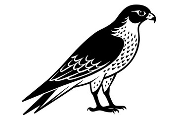 Fototapeta na wymiar falcon silhouette vector illustration