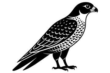 falcon silhouette vector illustration