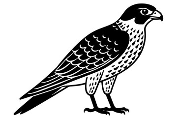 falcon silhouette vector illustration