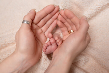 baby's legs in the hands of mom and dad. parental care for the child