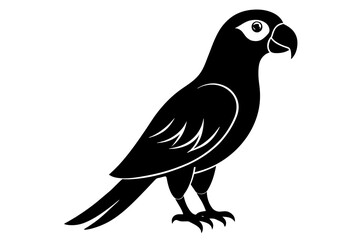 parrot silhouette vector illustration