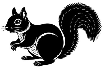 squirrel silhouette vector illustration