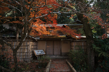 哲学の道 - Philosopher's Path in Kyoto, Japan