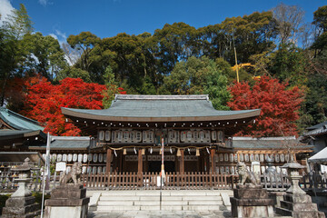 Japnese Shrine in Autumn