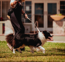 woman running with a dog Miami Beach 