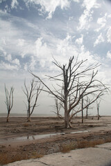 Epecuen, Argentina, Ruina