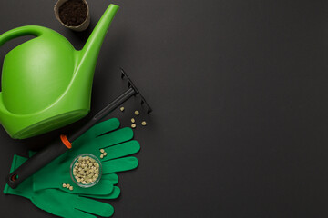 Green gardening tools on color background, top view