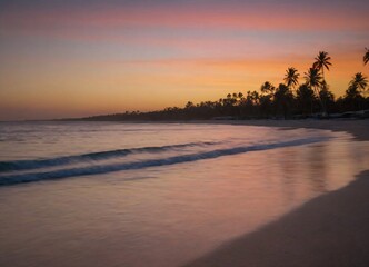 Sunset on the beach with palm trees, tropical