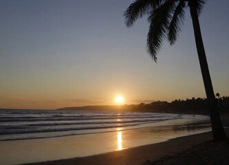 Sunset on the beach with palm trees, tropical