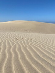 The dunes at pismo beach, California 