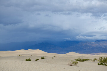 Desert sand dunes under cloudy sky with dark mountains distant