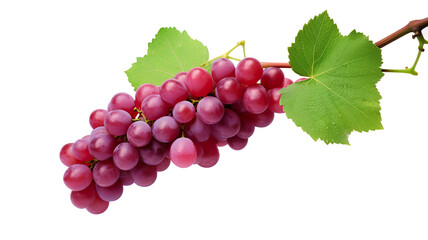 Bunches of grapes with leaves isolated on a transparent background 