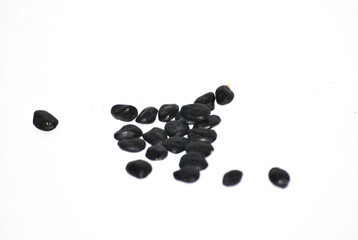 seeds of hope to sow a sustainable future of Mexico