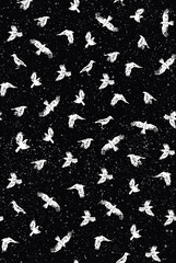 Fototapeta premium Vector pattern illustration of birds silhouette randomly scattered with texture on dark background.