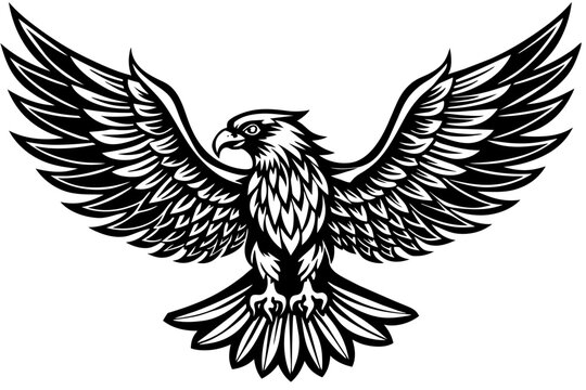 Eagle spreading its wing. Black and white vector.