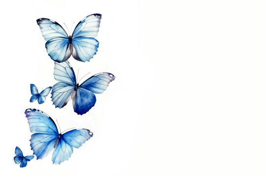 Watercolor blue butterflies on white background with copy space
