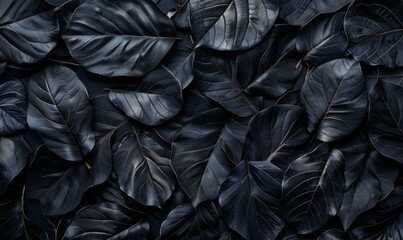 Dark moody leaves arrangement with deep textures - Moody and artistic shot of dark leaves showcasing their intricate textures, evoking feelings of growth and natural beauty