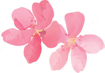 hand drawn style plum blossom