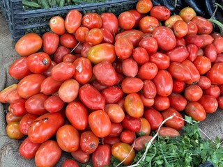 tomatoes in a market