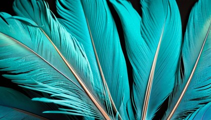 Blue feather, close-up. dark background, bright colors. Concept exotic texture of parrot, background, fashion, print or card design.