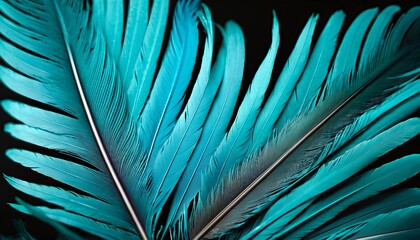 Blue feather, close-up. dark background, bright colors. Concept exotic texture of parrot,...