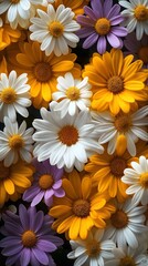 Fototapeta premium yellow and white flowers, aesthetic mobile phone wallpaper, phone background, chrysanthemum flower, floral