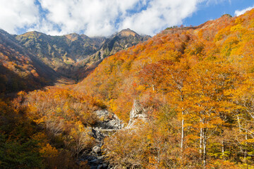 日本の風景・秋　紅葉の谷川岳　マチガ沢
