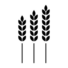 Wheat Ears Icon Set. Grain Symbol. Cereal Crop Illustration. Agriculture Harvest. Vector illustration. EPS 10.