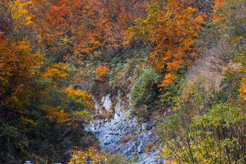 日本の風景・秋　紅葉の谷川岳　一ノ倉沢