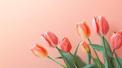 Bouquet of tulips on beautiful background