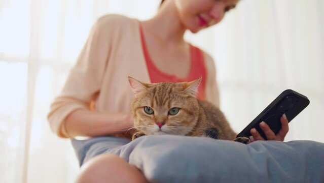 Caucasian young woman using mobile phone with domestic cat at home. 