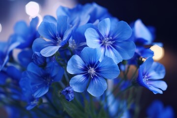 Small Blue Wildflowers