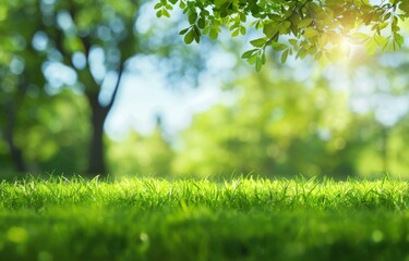 Beautiful blurred background of spring nature with green grass and trees on the lawn in park or garden under blue sky