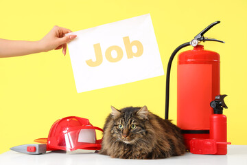Firefighter's equipment, cute cat and female hand with word JOB against yellow background