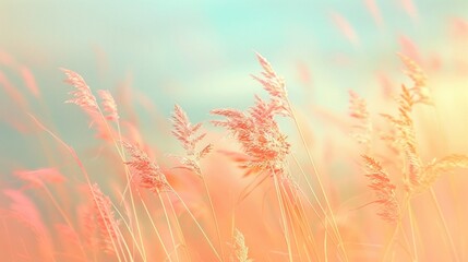 A field of soft wild grass under a pastel sky creates a dreamlike vista, inspiring thoughts of serenity and nature.