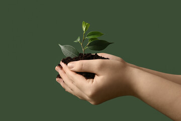 Woman holding young plant and soil, closeup. Earth Day celebration concept.