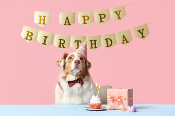 Cute Australian Shepherd dog in party hat with cake, gift box and garlands with text HAPPY BIRTHDAY on pink background © Pixel-Shot