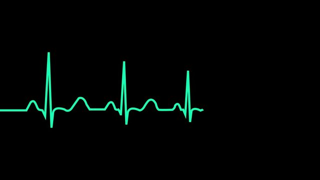 Heartbeat rate animation. Pulse footage. Heart beat Pulsing beat animation. Cardio wave monitor. chart. animation Single solid line art cardiogram anatomical human heart silhouette.