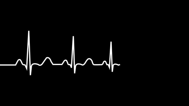 Heartbeat rate animation. Pulse footage. Heart beat video in Pulsing beat animation. Cardio wave monitor. EKG chart. animation Single solid line art cardiogram anatomical human heart silhouette.